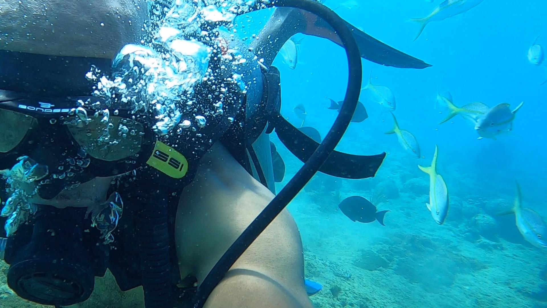 Underwater bubbles and gear